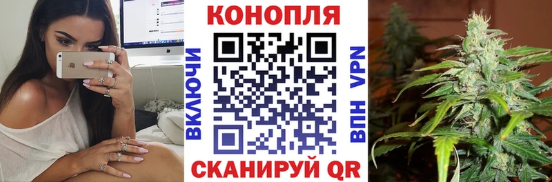 Конопля SATIVA & INDICA  где купить наркоту  KRAKEN онион  Петровск 